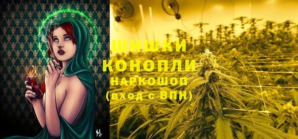 дмт Аркадак