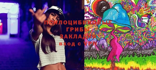2c-b Алексин