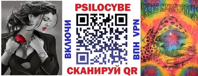 мориарти как зайти  купить наркоту  Могоча  Галлюциногенные грибы мухоморы 
